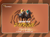 12 nations gather in Marrakech for the Grand Prix d'Afrique, highlighting African horse racing and lotteries