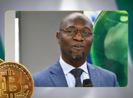 SEC Chief highlights Nigeria's $400M crypto market and 33.4% ownership rate