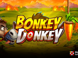 Spin with the cheekiest donkey