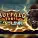 BF Gaming Launches Buffalo Trail Cash Mesh LINK