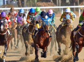 SOREC and Racing1 unite to elevate Morocco's international horse racing scene