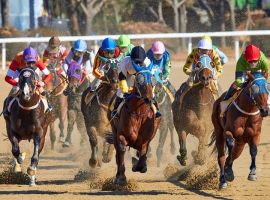 Horse race betting turnover increased in Hong Kong during the past season