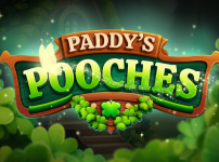 Indigo Magic unleashes Paddy’s Pooches slot with adorable canine charm