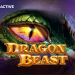 Dragon Beast: A New Slot Release from CT Interactive