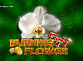Burning Flower: The Bloom of Success