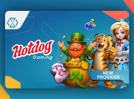 South Africa’s iGaming Contours and the Aggregator Play