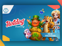 South Africa’s iGaming Contours and the Aggregator Play