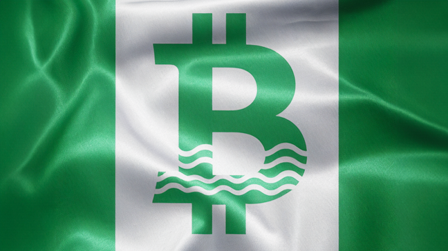 Nigeria's FIRS to introduce cryptocurrency regulation bill by September 2024