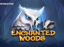 Enchanted Woods: Where Turbo Wins and Luck Unite in the Heart of the Forest