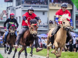 Vietnam Moves to Raise Betting Limits for Football and Horse Racing Amid Illegal Market Concerns