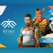 Game Aggregation and Content Diversity as South Africa Sharpens Its Online Gambling Focus