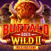 Mancala Gaming Releases Buffalo Goes Wild II: Hold & Earn, Coin Boosters and Four Jackpots