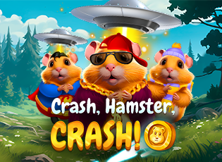 Crash Hamster banner