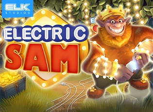 Electric sam