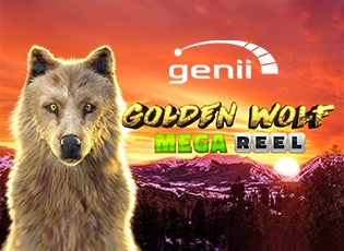 gplden_wolf