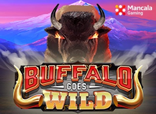 Buffalo goes wild banner