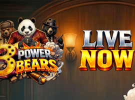 AvatarUX dévoile 3 Power Bears, une machine à sous explosive