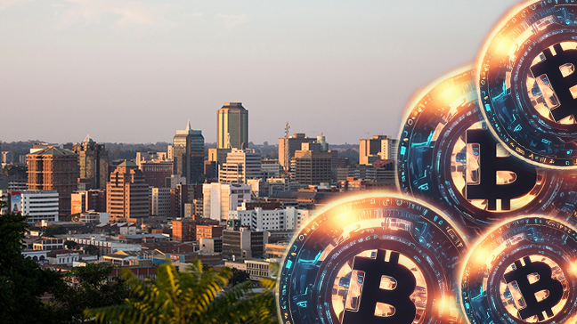 Le Zimbabwe crée le NRACC pour évaluer l'écosystème des crypto-monnaies