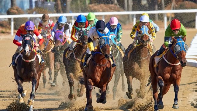 Le chiffre d'affaires des paris sur les courses de chevaux a augmenté à Hong Kong au cours de la saison dernière
