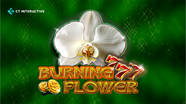 Burning Flower : L'Éclosion du Succès
