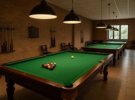 Comment ouvrir une salle de billard au Kenya : guide d'affaires étape par étape