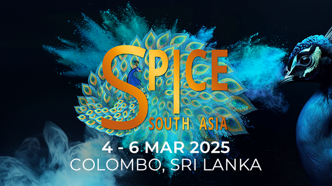 À la découverte du futur du jeu vidéo : SPiCE South Asia prévu pour mars 2025