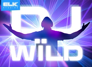 DJ wild